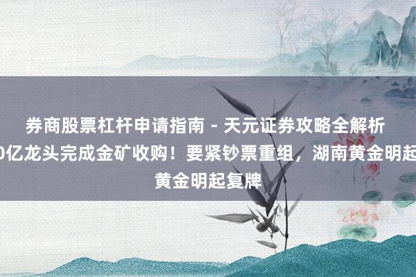 券商股票杠杆申请指南 - 天元证券攻略全解析 4800亿龙头完成金矿收购！要紧钞票重组，湖南黄金明起复牌